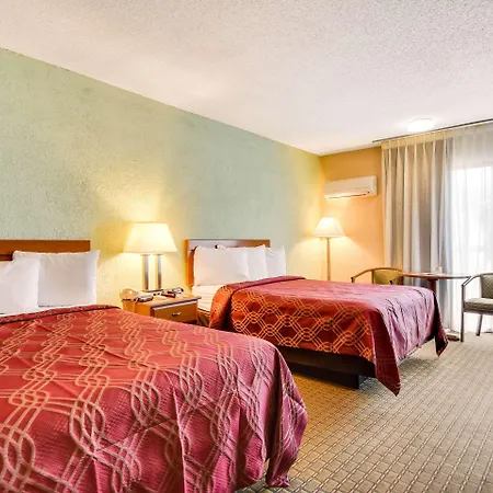 Econo Lodge Busch Gardens Tampa Extérieur photo